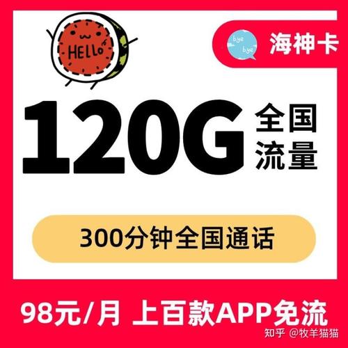 大王卡和漫游流量卡