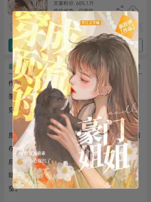 我的弟弟是顶级流量卡