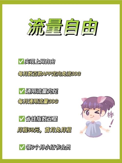 大玩卡出省流量