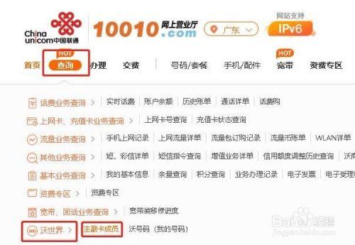 怎样查询联通的副卡流量