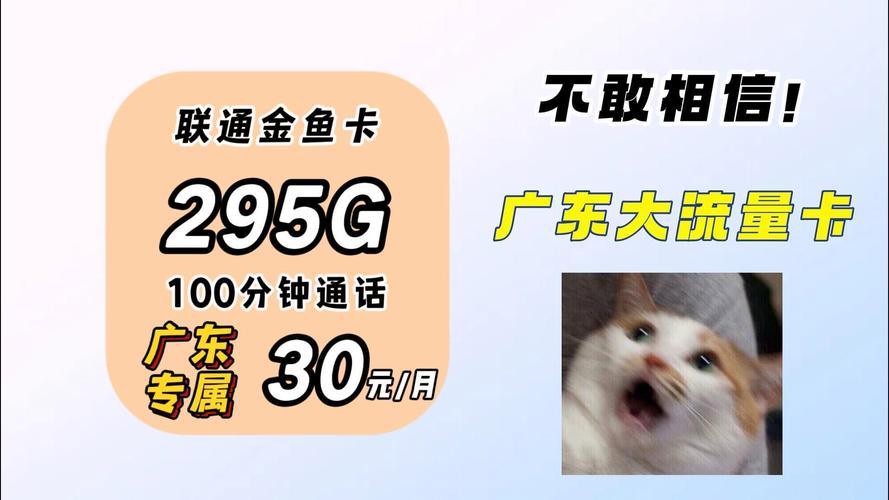 手机流量直播卡