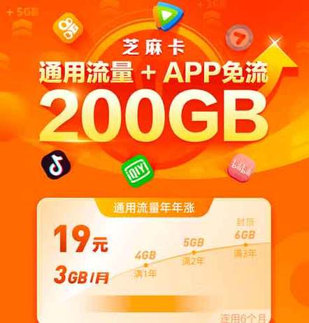 芝麻卡流量包，满足你哪些上网需求？