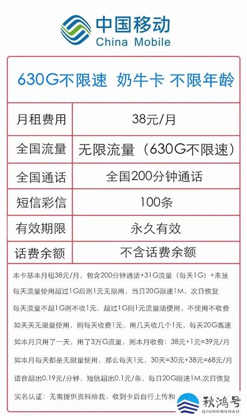 现在这个卡每月多少流量