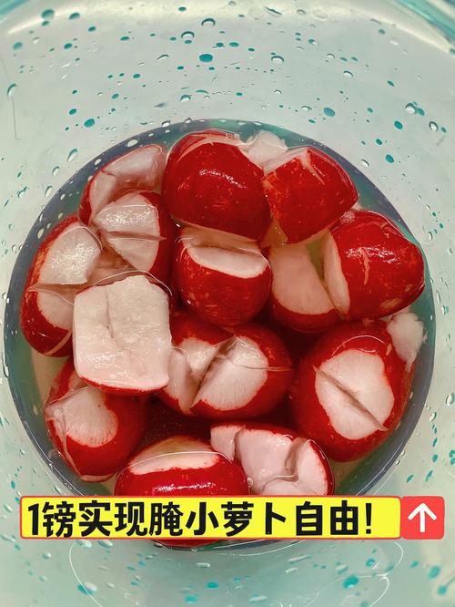 小萝卜流量卡