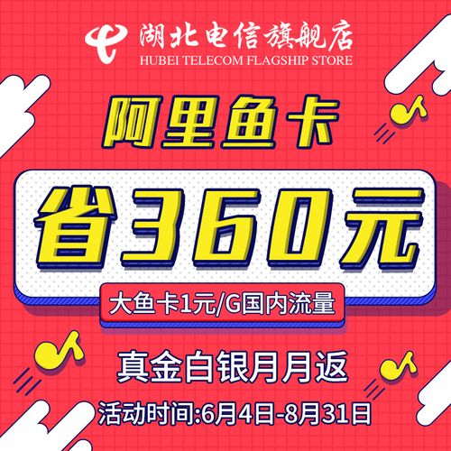 电信卡流量套餐大鱼卡