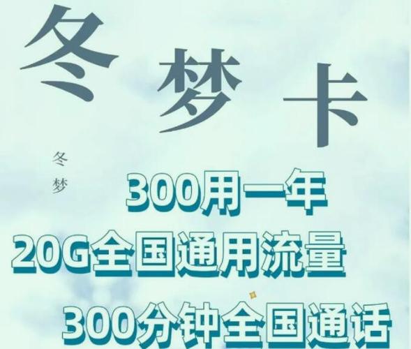 流量王冬梦卡怎么买