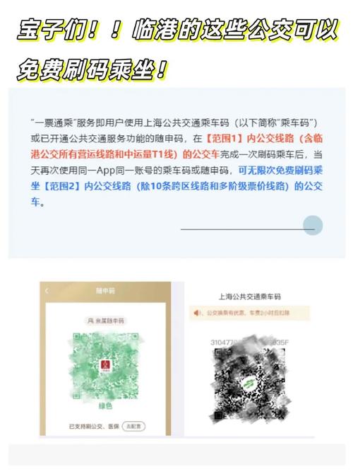 魔都卡app专属流量为