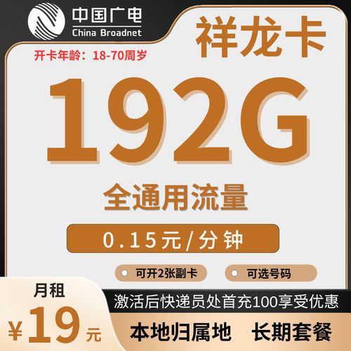 电信双生无限卡流量卡