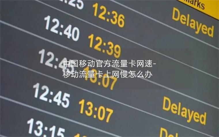 能办流量卡不能上网