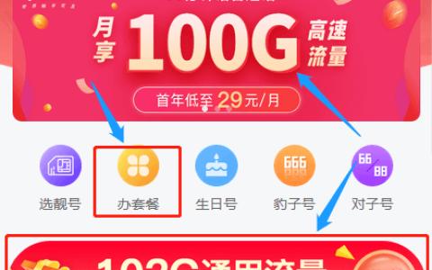流量王卡珍藏版套餐