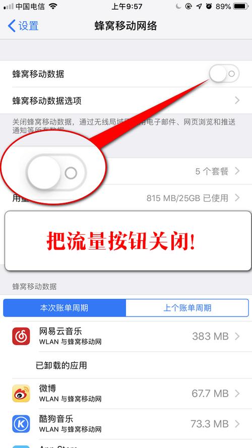 苹果的副卡流量怎么关闭