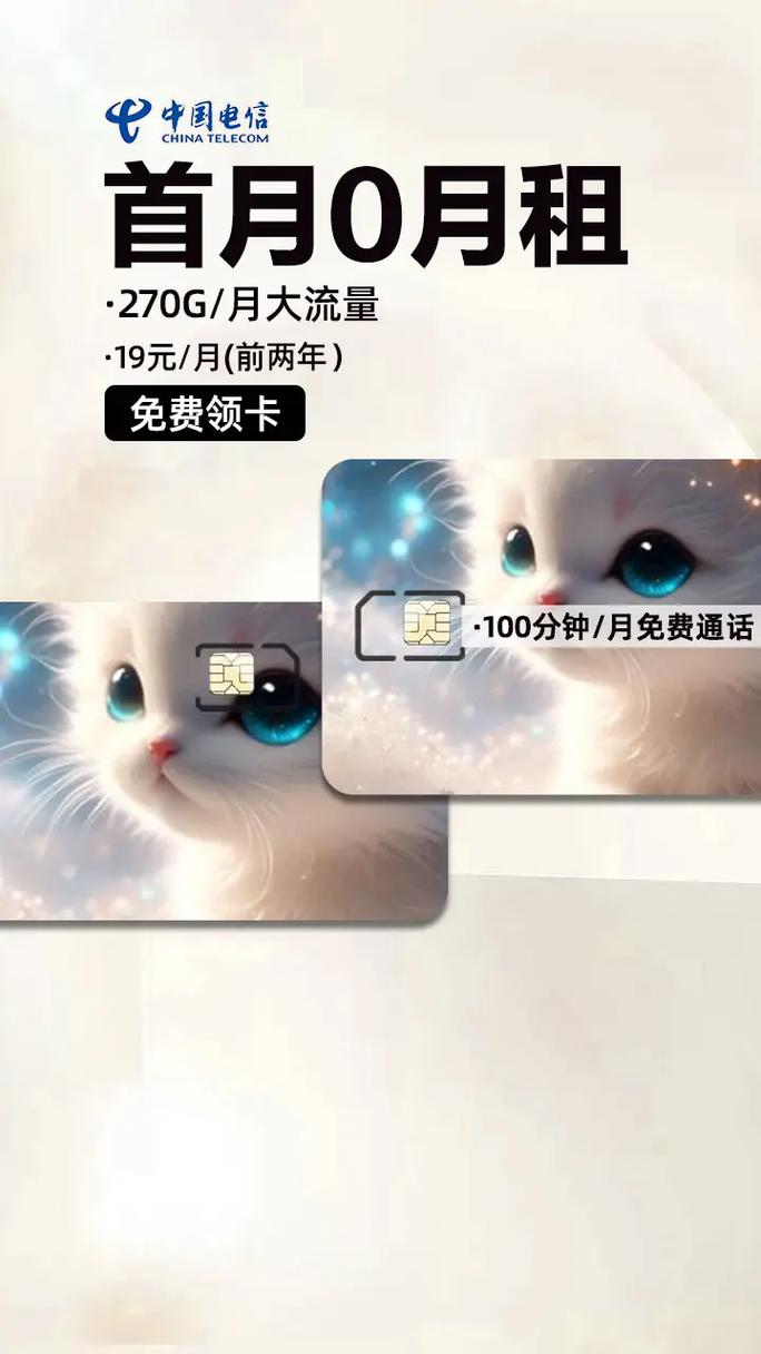 流量卡龙年卡潮玩