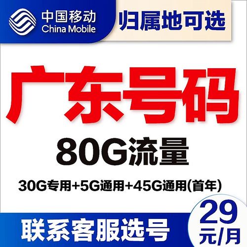 肇庆移动电话流量卡办理