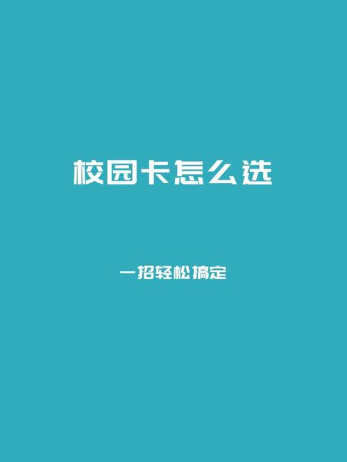 如何查询校园卡的数据流量使用情况？