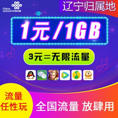 大宝卡流量日租卡