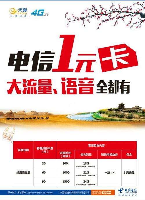 99元电信自媒体流量卡