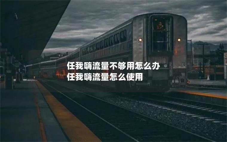 任我嗨 流量卡