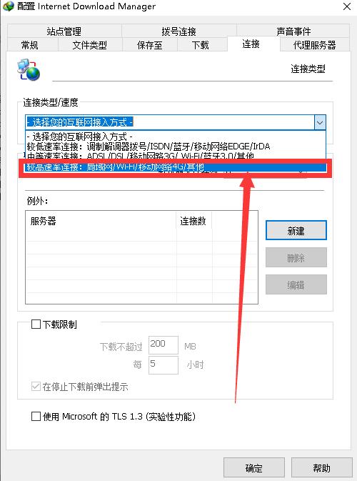 IDM怎么设置成中文？