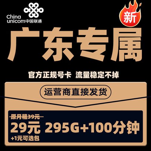 连通纯流量卡