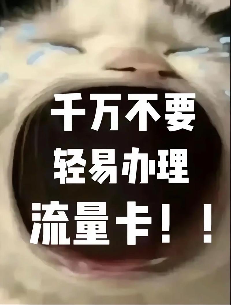 不要手机流量卡可以吗