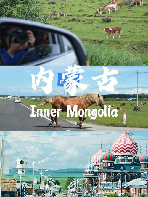 天骏流量卡，满足你哪些移动上网需求？
