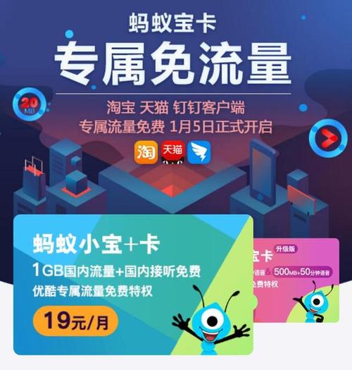 蚂蚁宝卡提供2G流量服务，这能满足我的日常上网需求吗？