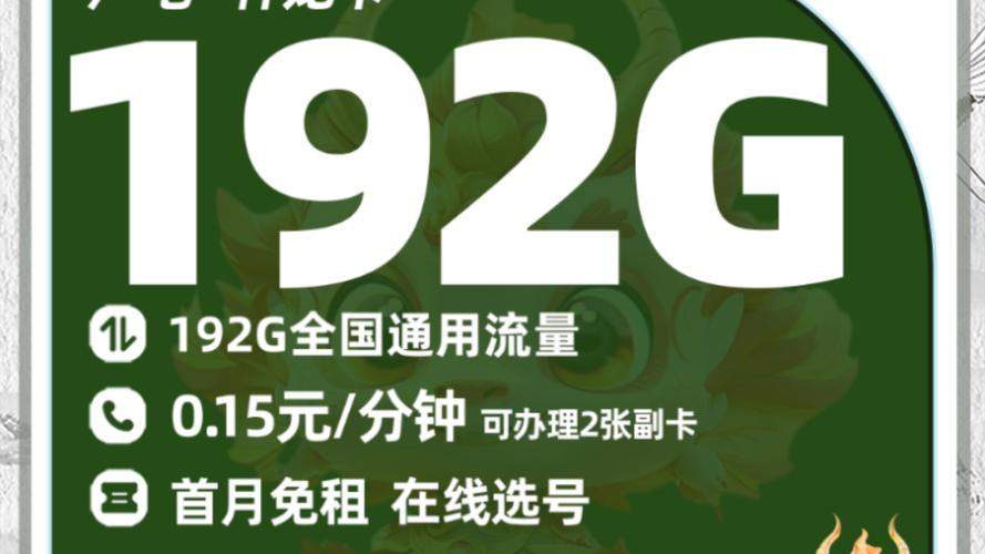 流量通话卡广电