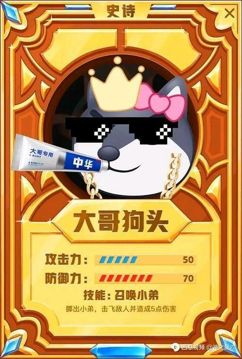 狗头流量卡真相
