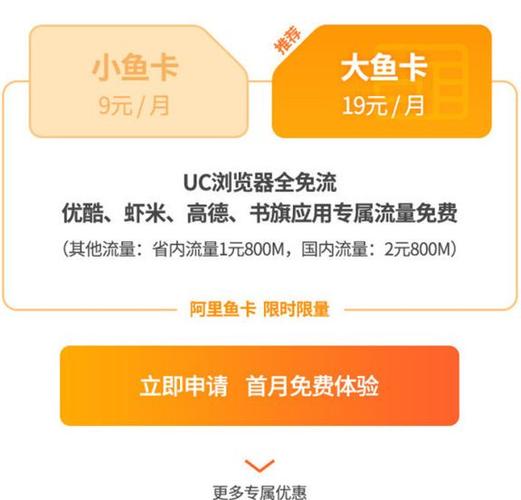 uc大鱼卡流量怎么记费