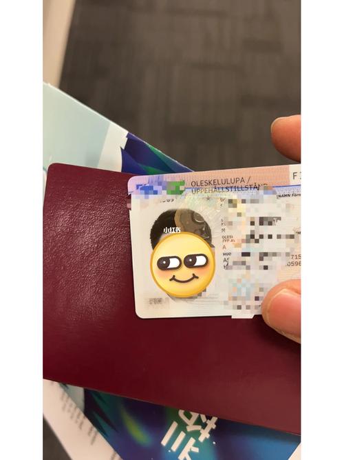 芬兰手机卡咋充流量