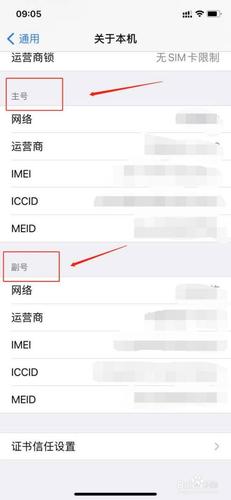 如何在苹果手机上区分并查看双卡与单卡的流量使用情况？