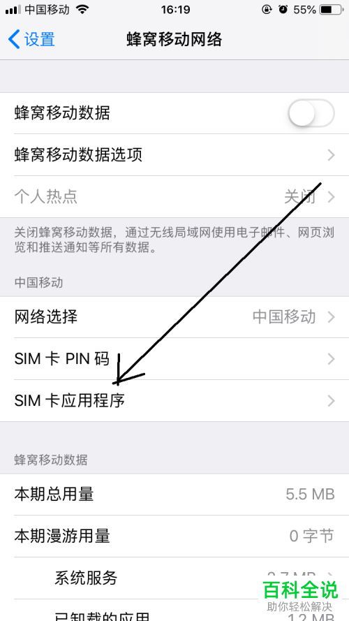 苹果怎么查单卡双卡流量