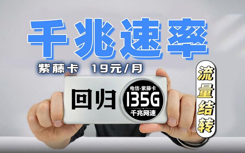 电信紫藤卡怎么升级白金速率 电信卡提升到白金速率的方法