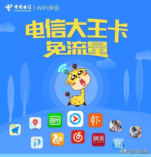 电信大王卡提供哪些类型，以及是否支持办理副卡？