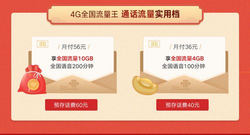流量王红卡