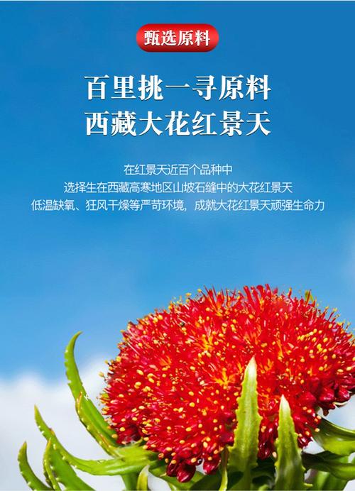 手机流量24G可以用多久?手机流量一月多少G够用