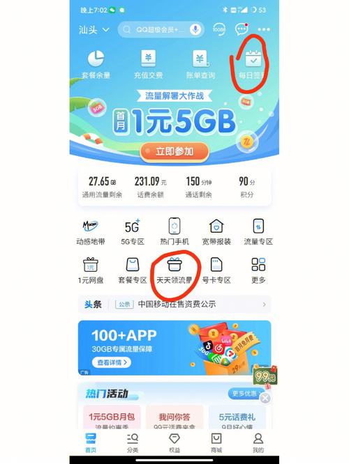 头条大王卡免流量多少g