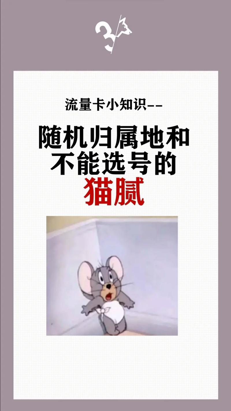 买了个流量卡但是不知道怎么用,19元流量卡有什么猫腻