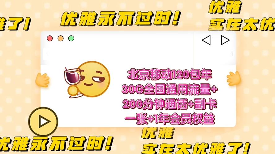 大华流量卡包年