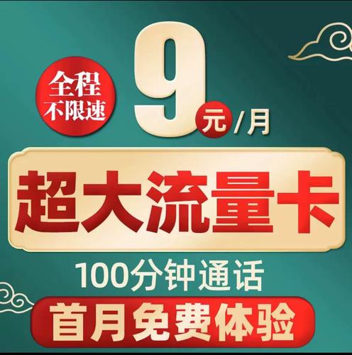 韶关大王流量卡怎么办理