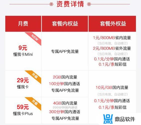 头条大王卡免流量多少g