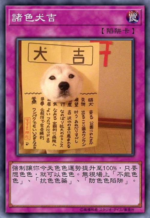 柴犬流量卡