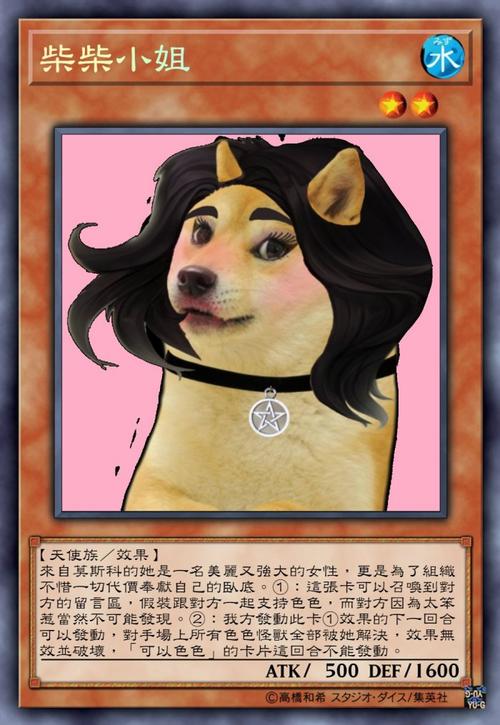 柴犬流量卡