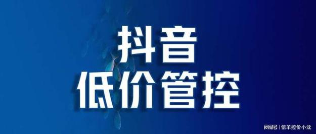 抖音低价业务(快手业务低价自助平台超低价)