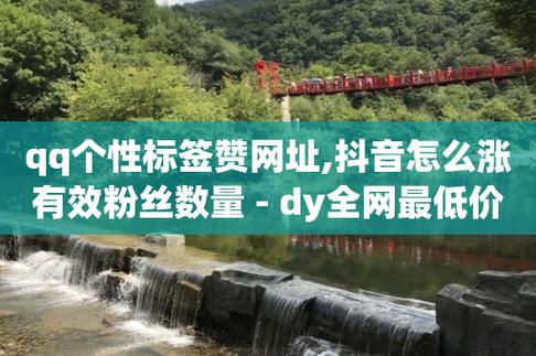 全网下单平台(dy业务平台)