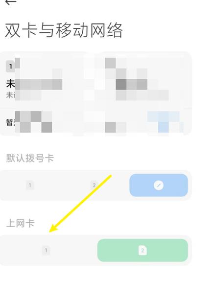苹果手机流量卡设定在哪