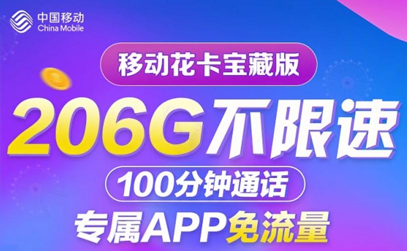 移动宝藏卡的定向流量指