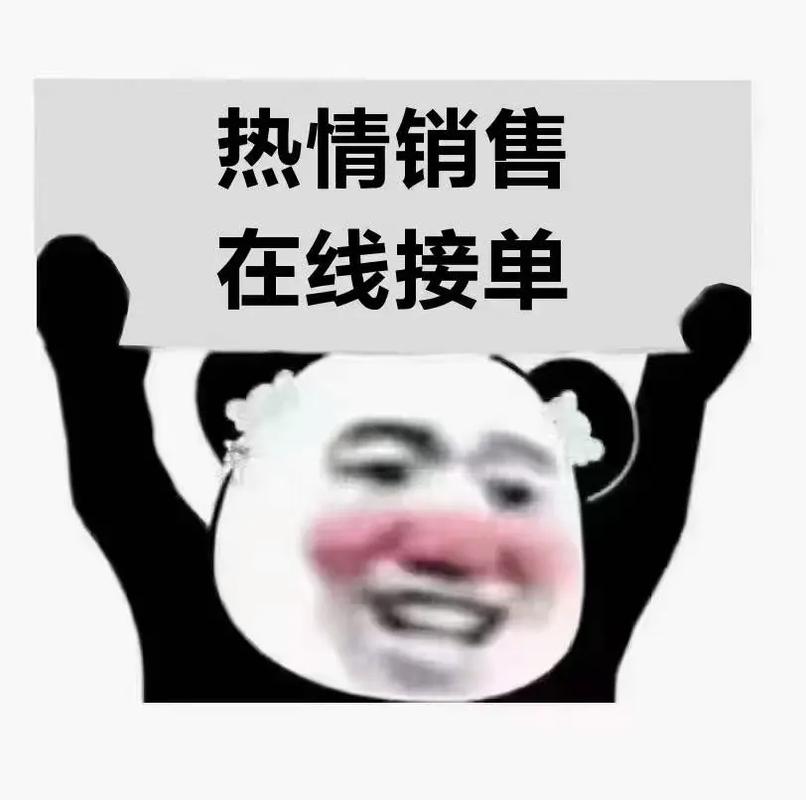 国产行车记录仪流量卡