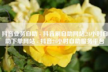 抖音24h自助推广下单平台,抖音僵尸粉丝业务