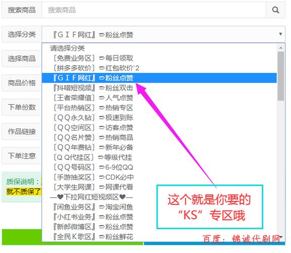 如何有效利用Dy粉丝业务和ks业务软件提升社交媒体影响力？